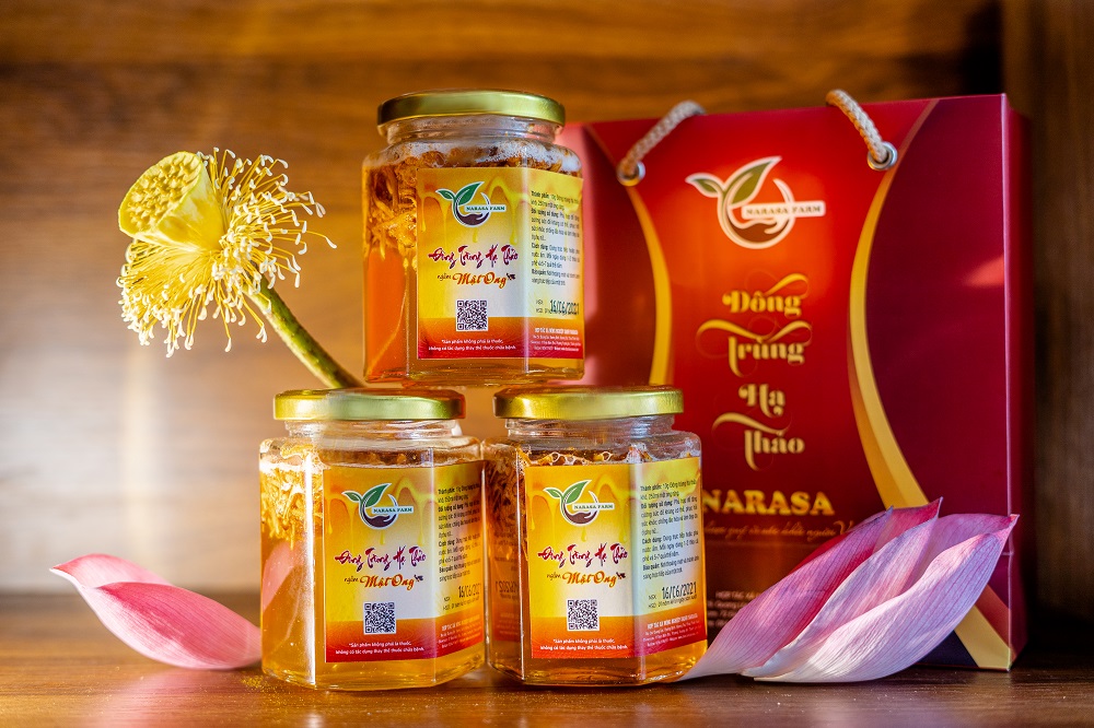 Đông trùng hạ thảo ngâm Mật ong