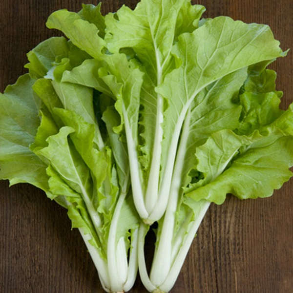 Cải bẹ dún trắng