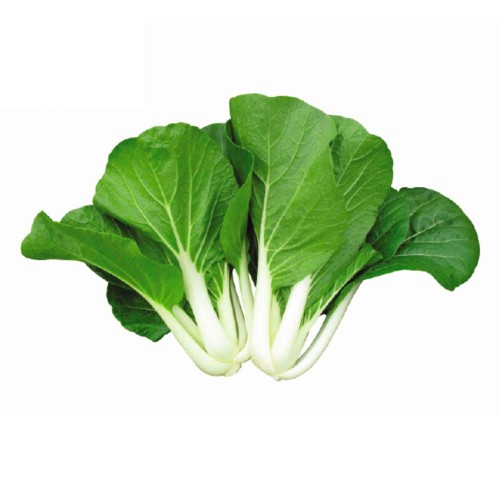Cải thìa bẹ trắng