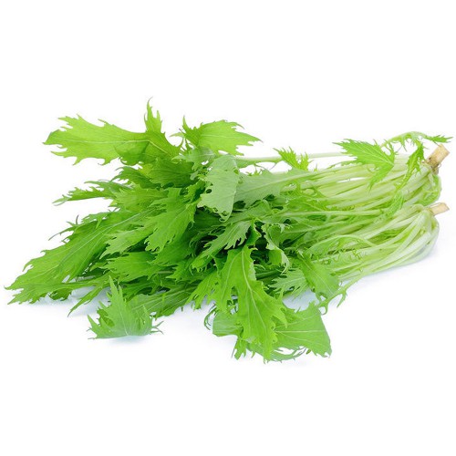 Cải đuôi phụng