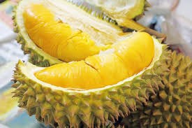 Sầu riêng Ba Cụm Bắc